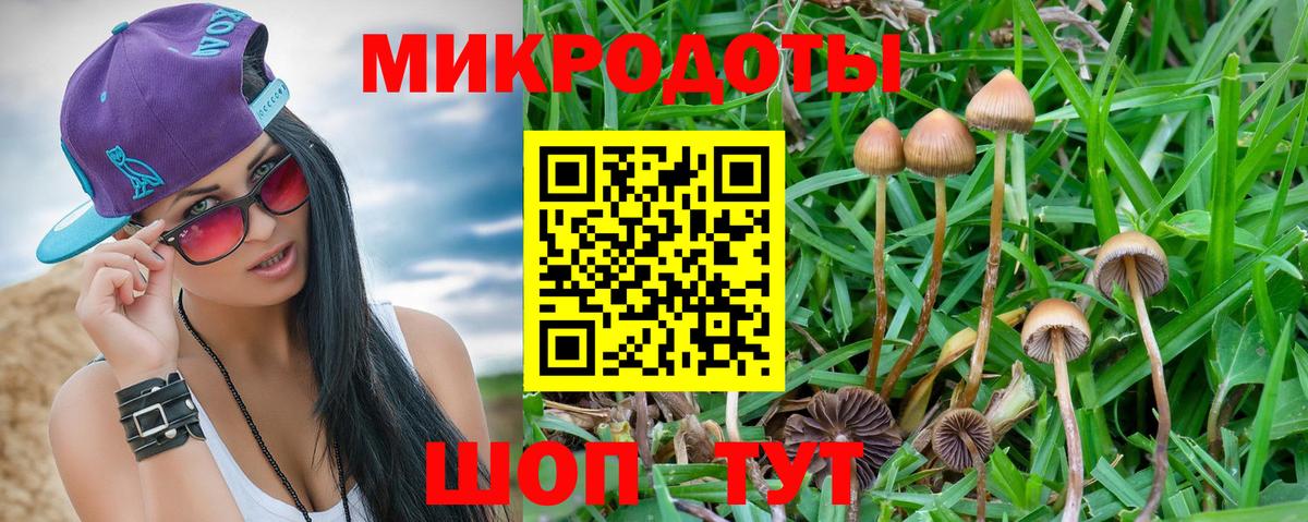 Галлюциногенные грибы мухоморы Новосибирск
